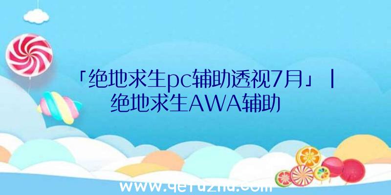 「绝地求生pc辅助透视7月」|绝地求生AWA辅助